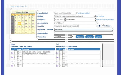 Citas APS – Gestion Medica MediQ